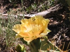 GC094