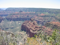 GC103