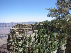 GC107