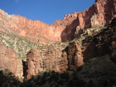 GC116