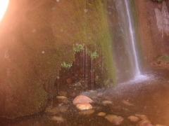 GC131