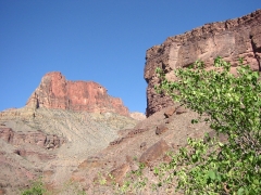 GC134