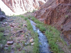 GC143
