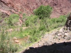 GC152