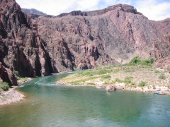 GC155