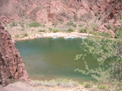 GC157